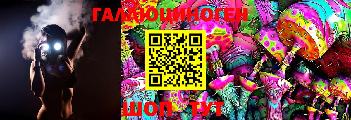 Псилоцибиновые грибы Cubensis  Вход с VPN  Мариинск 