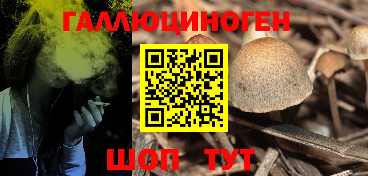 Галлюциногенные грибы Psilocybine cubensis Мариинск